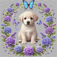 Animal Integration-DW 504